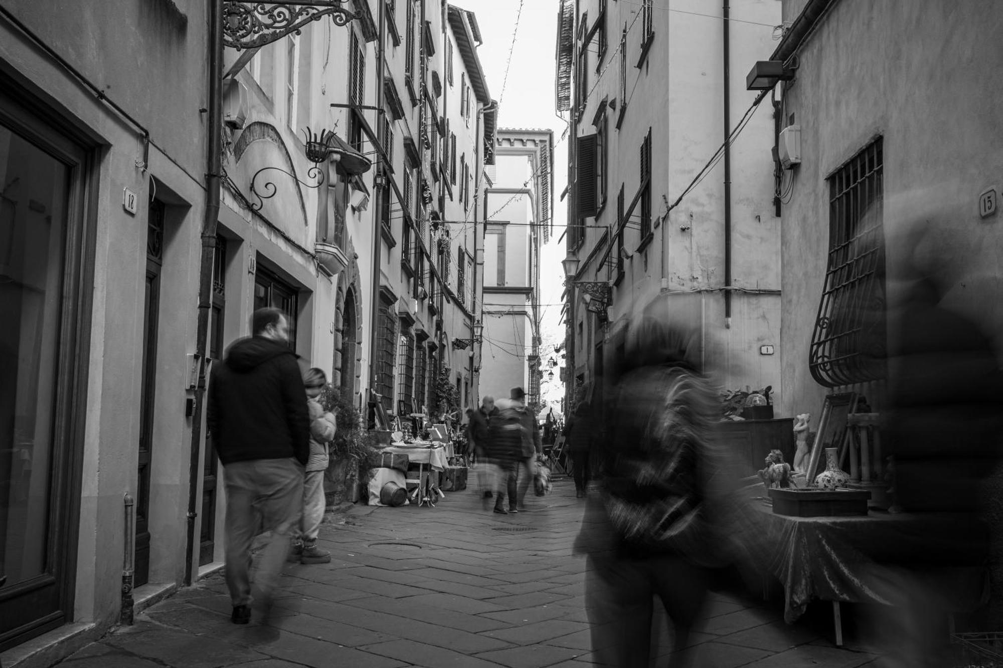 Oasi Nel Cuore Di Lucca, Super Centrale E Luminoso Zewnętrze zdjęcie